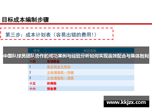 中国队球员团队协作的成功案例与经验分析如何实现高效配合与集体胜利
